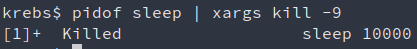 The right way to kill on process using xargs.