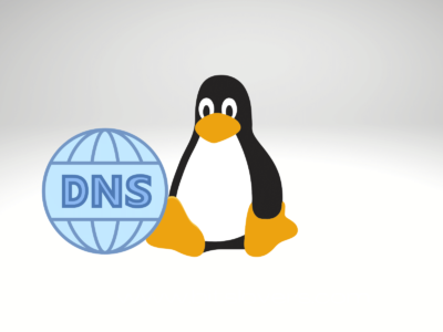 Flush DNS Cache on Linux